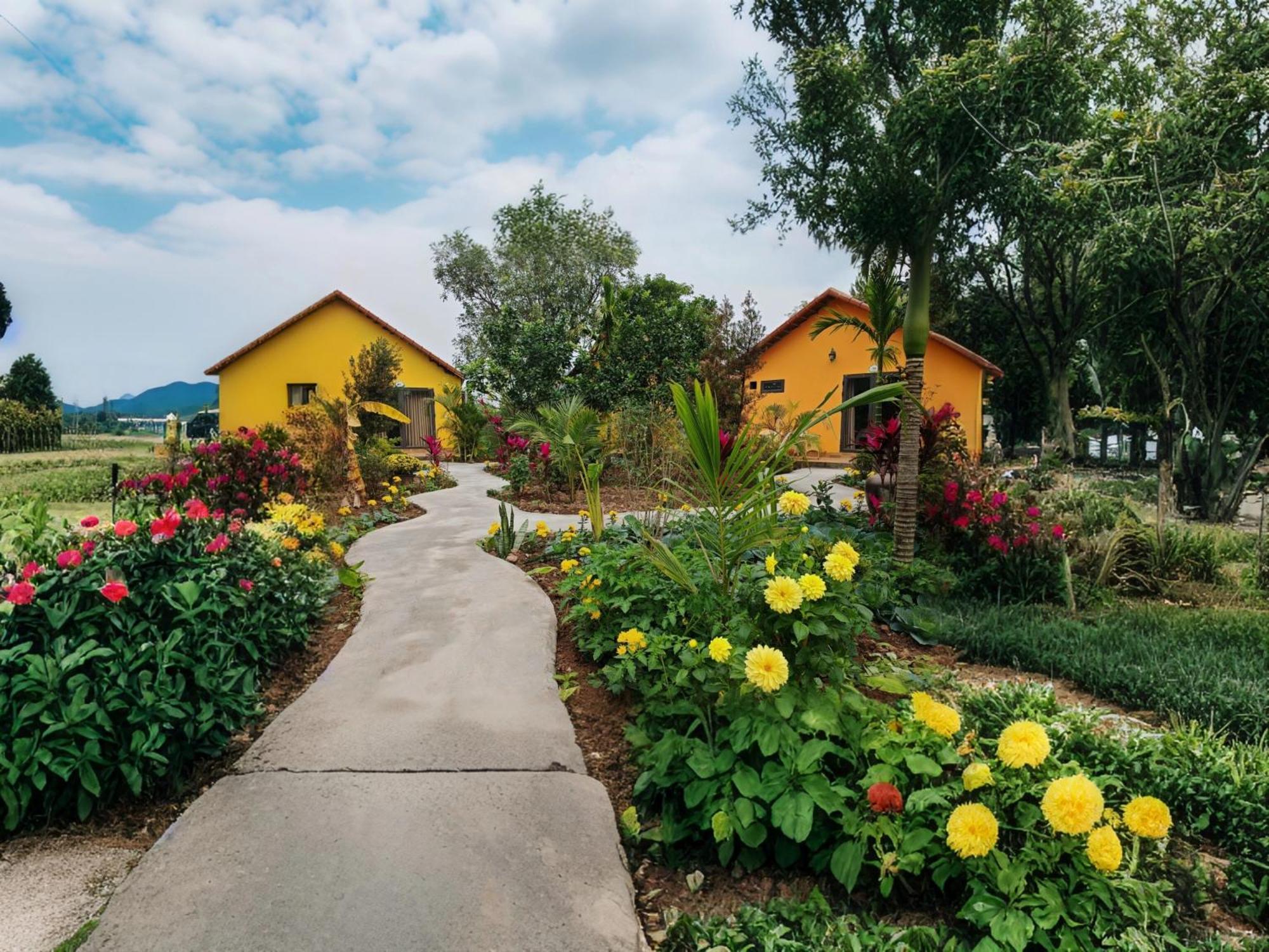 Ninh Binh Peaceful Retreat Villa Ngoại thất bức ảnh